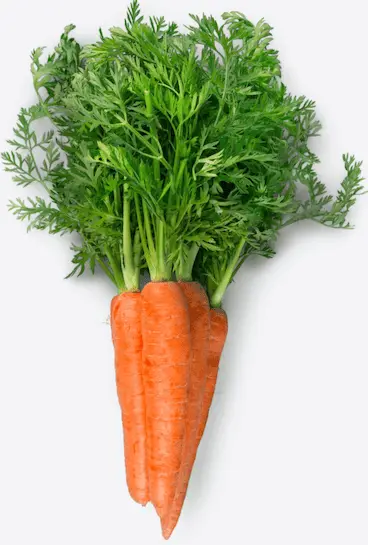 Carrots