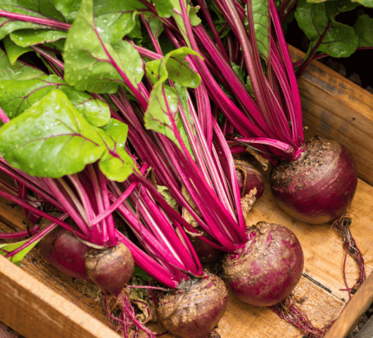 Fresh beetroots