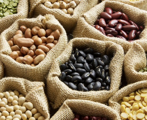 Colorful lentils and beans